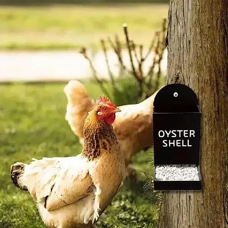 Chicken Feeders Hanging, Gravity Poultry Trough for Grit and Oyster Shells