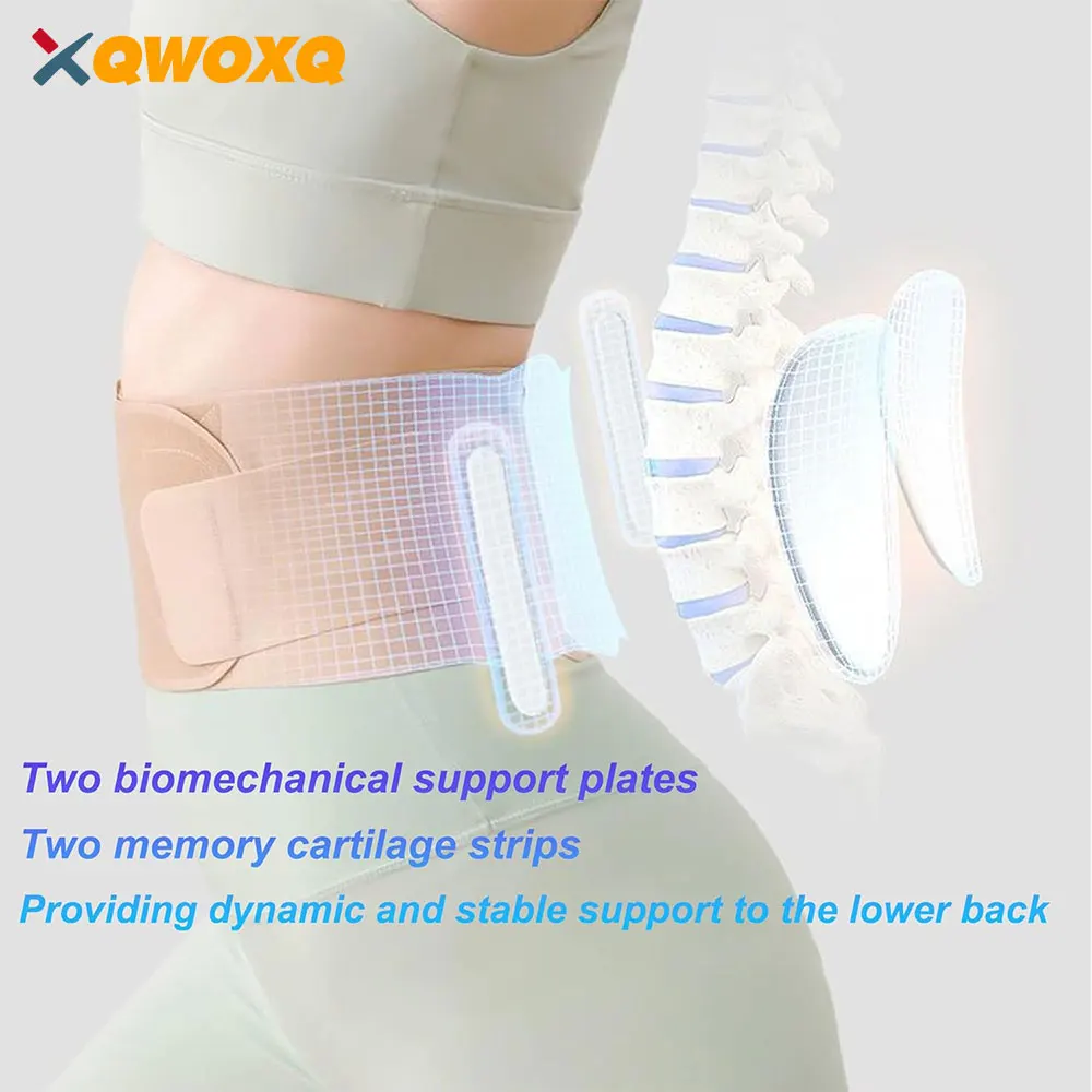 Sport Back Brace with Skin-Friendly Material, Adjustable Waist Support Specifically,Relieves Herniated Disc, Sciatica, Scoliosis