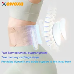 Sport Back Brace with Skin-Friendly Material, Adjustable Waist Support Specifically,Relieves Herniated Disc, Sciatica, Scoliosis