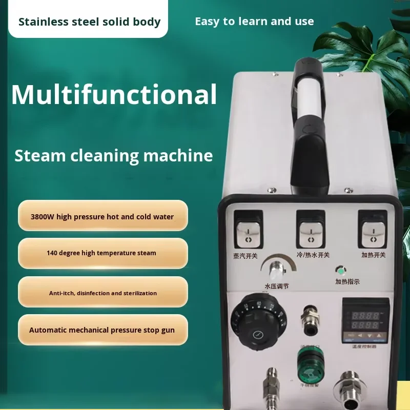 Portable High Temperature Pressure 3800W Steam Cleaner for Multifunctional Air Conditioning Range Hood Cars Cleaning Machine