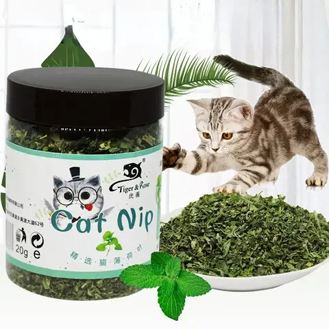  100% Organic Natural High Quality Catnip Grass Mint Flavor Interactive Cat Toy Funny Pet Supplies
