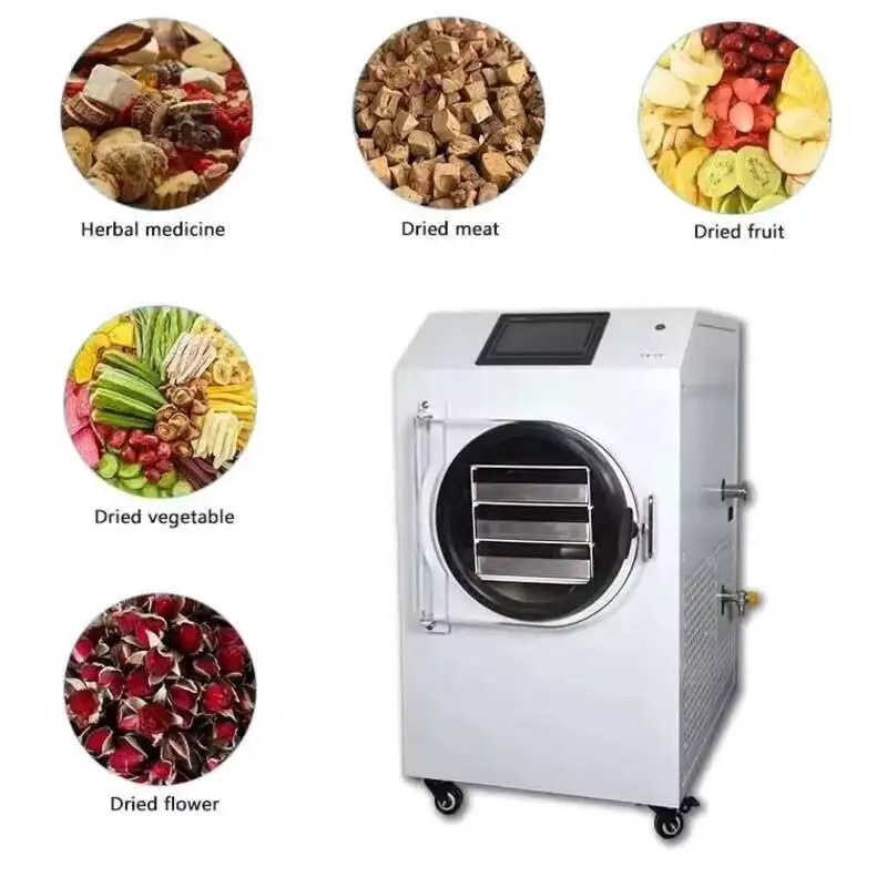 سلطة فواكه صغيرة Lyophilizer تجفيف مختبر القهوة آلة تجميد المجفف ديهيدراتور معدات مجفف فراغ للبيع
