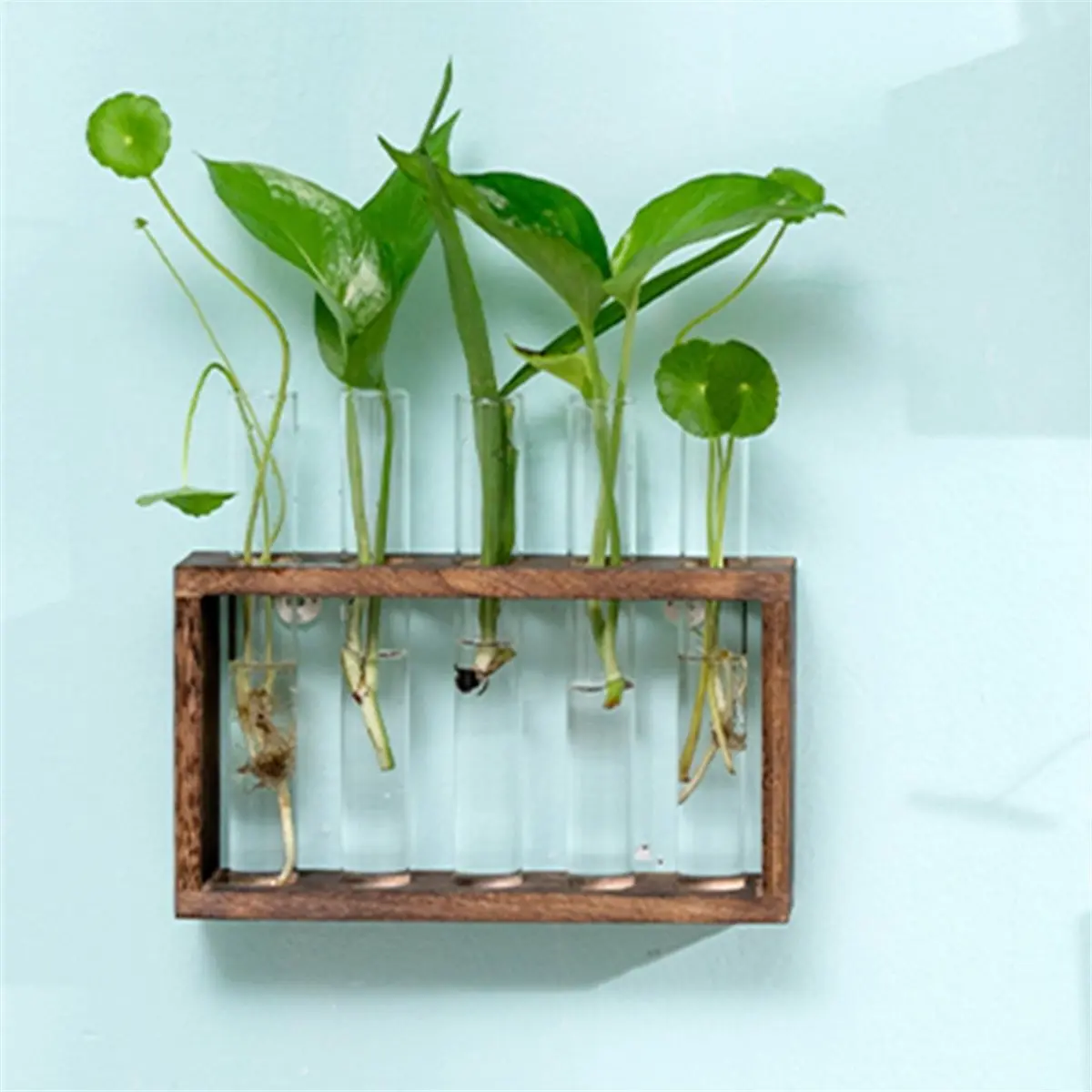 Industrial Tools 5 Tubes Wall Hanging Hydroponic Plant Propagation Glass Vase with Wooden Stand,Desktop Terrarium Planter for Wa