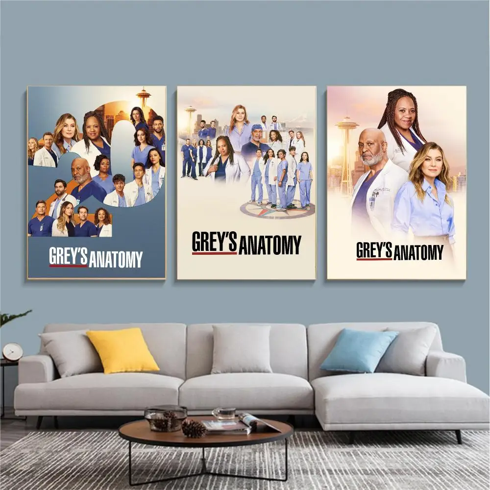 tv series G-Greys Anatomy-Y Painting Calligraphy Nature Inspired Artwork for Living Room  Home Decoration