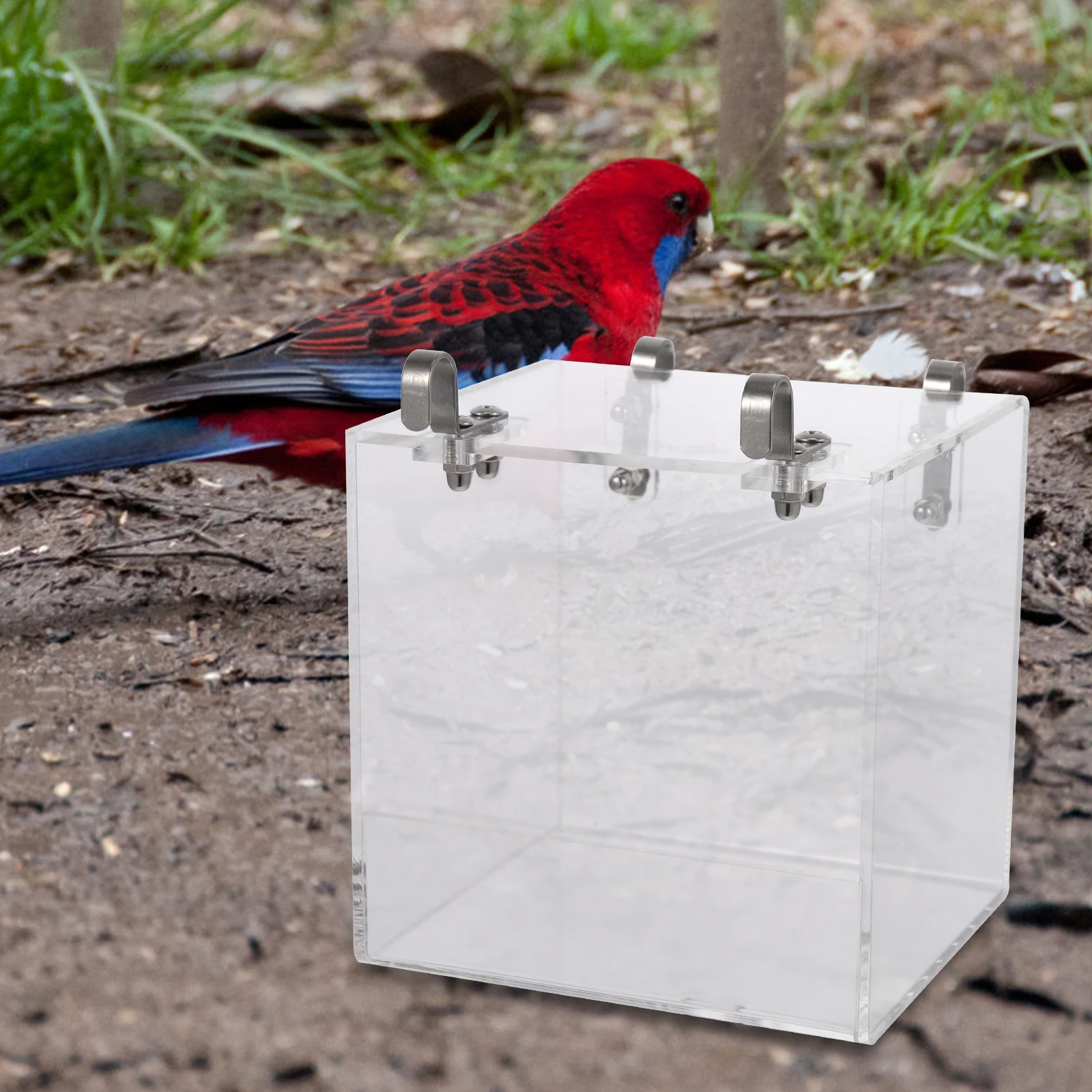 

Acrylic Bird Bathing Box Transparent Container for Small Parrots Finches Pet Store Home Use Durable Easy Storage