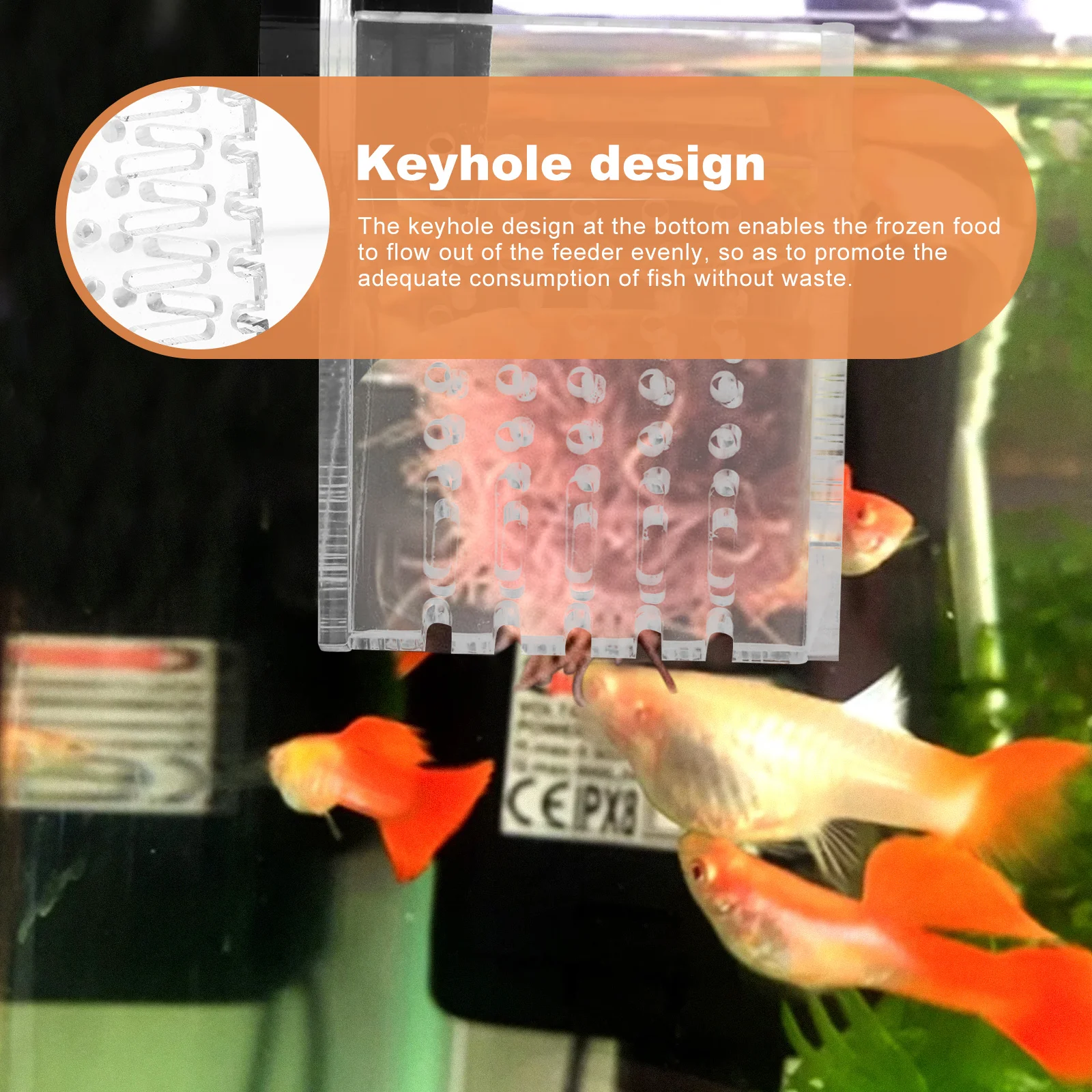 

1Pcs Aquarium Magnetic Acrylic Fish Feeder Blood Worm Feeding Tool Fish Tank Food Dispenser Durable Easy Install