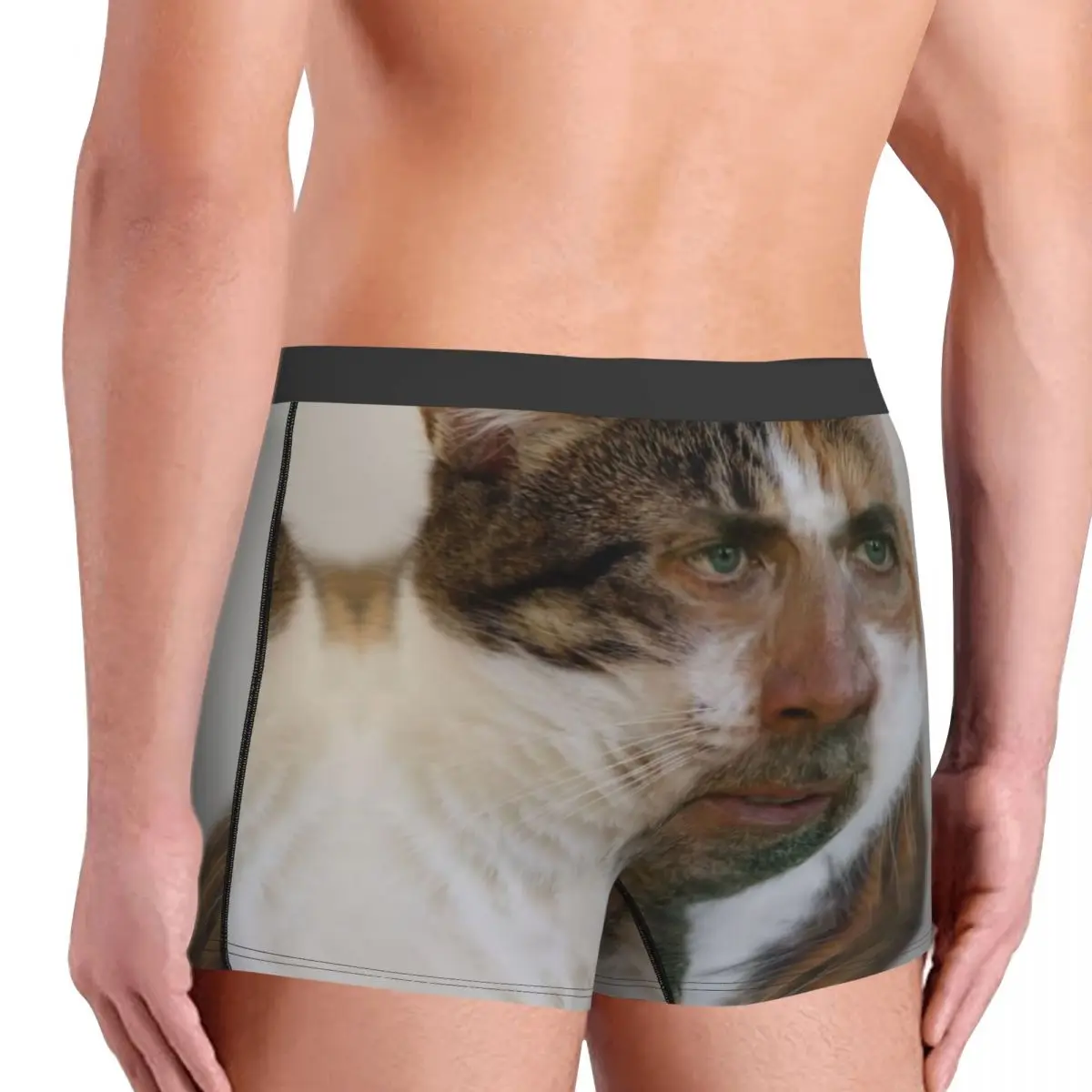 Nicholas Cage Cat Meme Boxer Shorts For Homme 3D Printed Underwear Panties Briefs Stretch Underpants