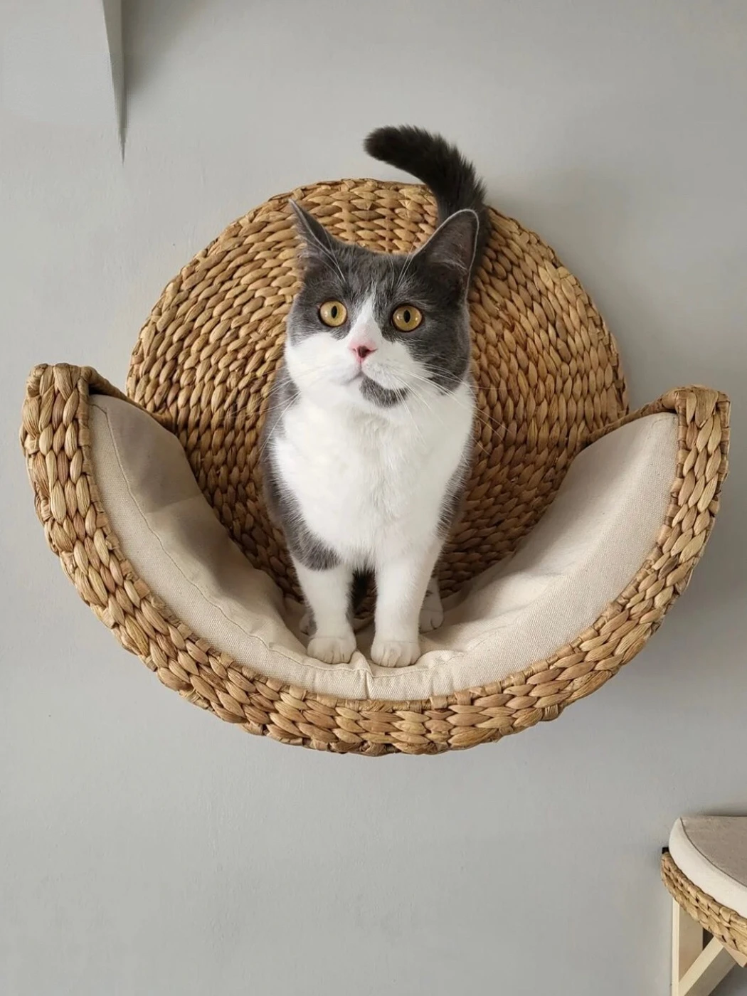 Natural Rattan Cat Climbing Frame Does Not Cover an Area of Cat Nest