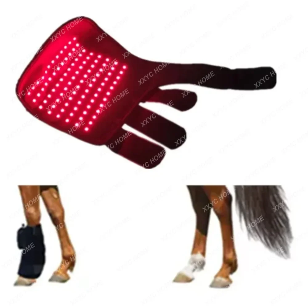 

Factory Outlet Pet Red Light Therapy Equine Feet Boot Head Back 660nm 850nm Infrared LED Red Light Therapy for horse