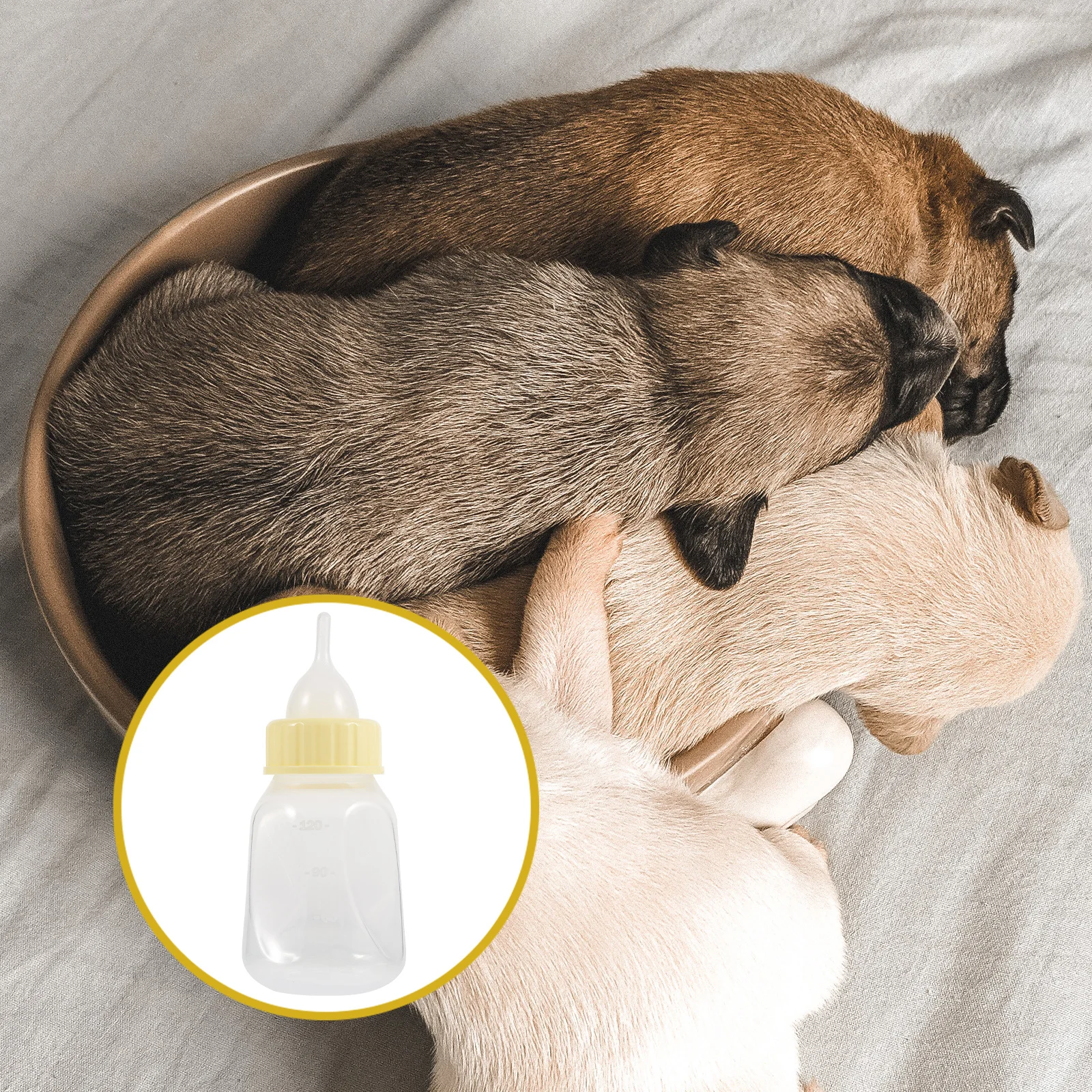 

1 set 1 Set Pet Nursing Feeder For Kitten Puppy Lamb Hamster Milk Bottle Lightweight Portable Small Pet Feeding Bottle Reusable