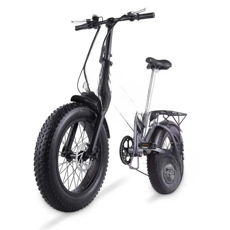 Electric bicycle with 1000W rear hub motor 48V 15Ah