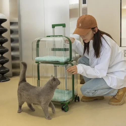 Pet Luggage Carry on Luggage with Wheels Cat Transport Pet Carrier Pet Trolley Box Cat Carrier Bag Convenient Going Out