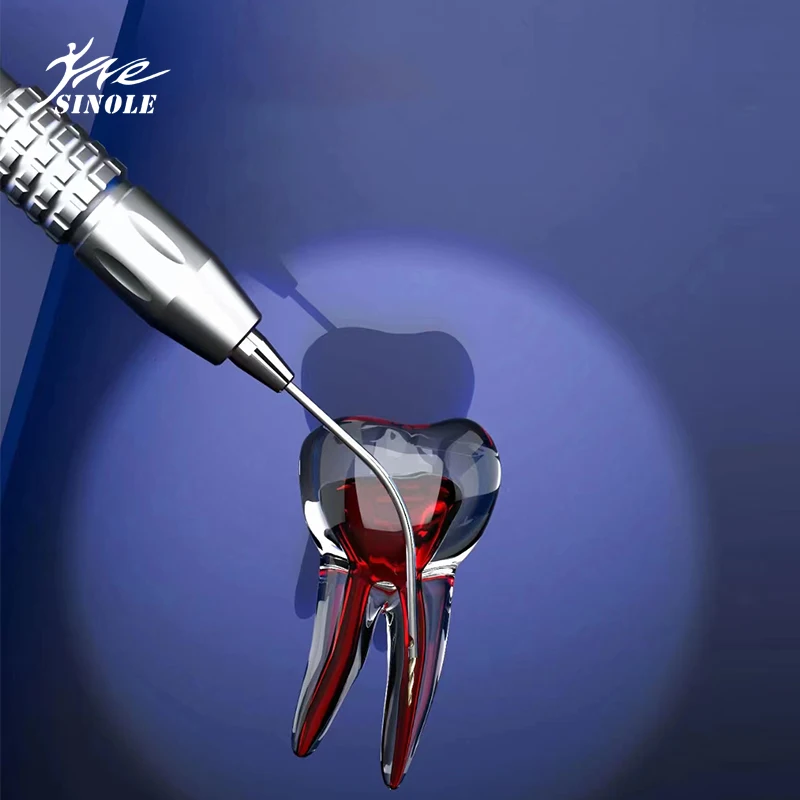 Dental Endodontie Endo Datei Entfernung System Kit / Endo Gebrochen Datei Entfernung Instrument Set Wurzelkanal Datei Extractor Für Klinik