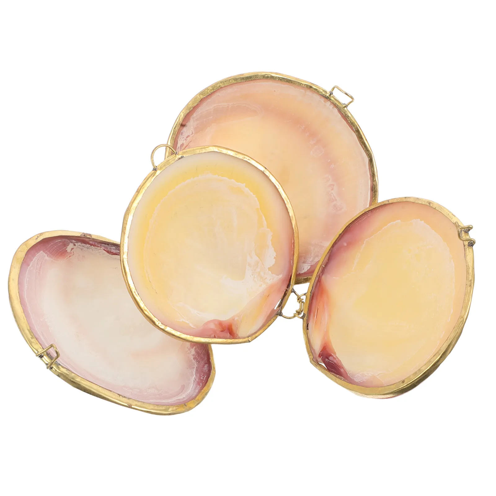 

2 шт. шкатулки для украшений в форме ракушки, винтажный дизайн с золотым ободком, органайзер для хранения серег, колец, ожерелий и мелочей