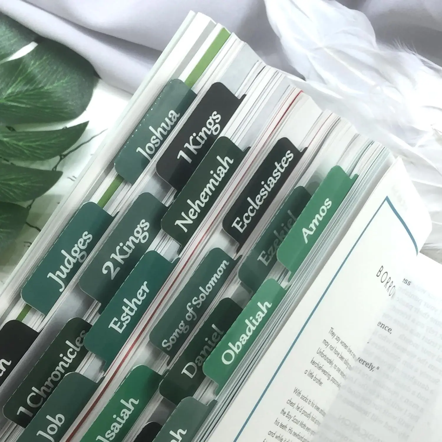 Bible Tabs Large Print Laminated Bible Tabs for Women and Men Easy to Read Bible Book Tabs for Study Bible Index Tabs Green