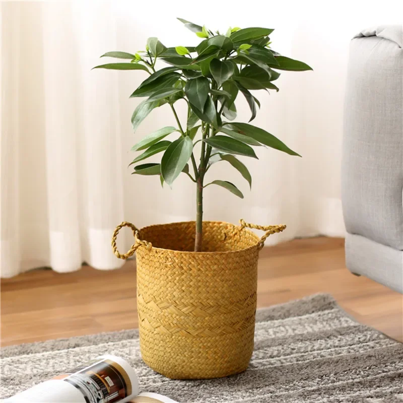 Hmade Rattan Flower Pots, Nordic Modern Design, Convenient Hles, Stylish St for Home Furnishing, Bonsai Display