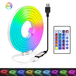 Single-Color RGB Neon LED Strip USB DC5V 24-Key Remote Control,Color Changing,Holiday Gift,Party Atmosphere Light,Festival Decor