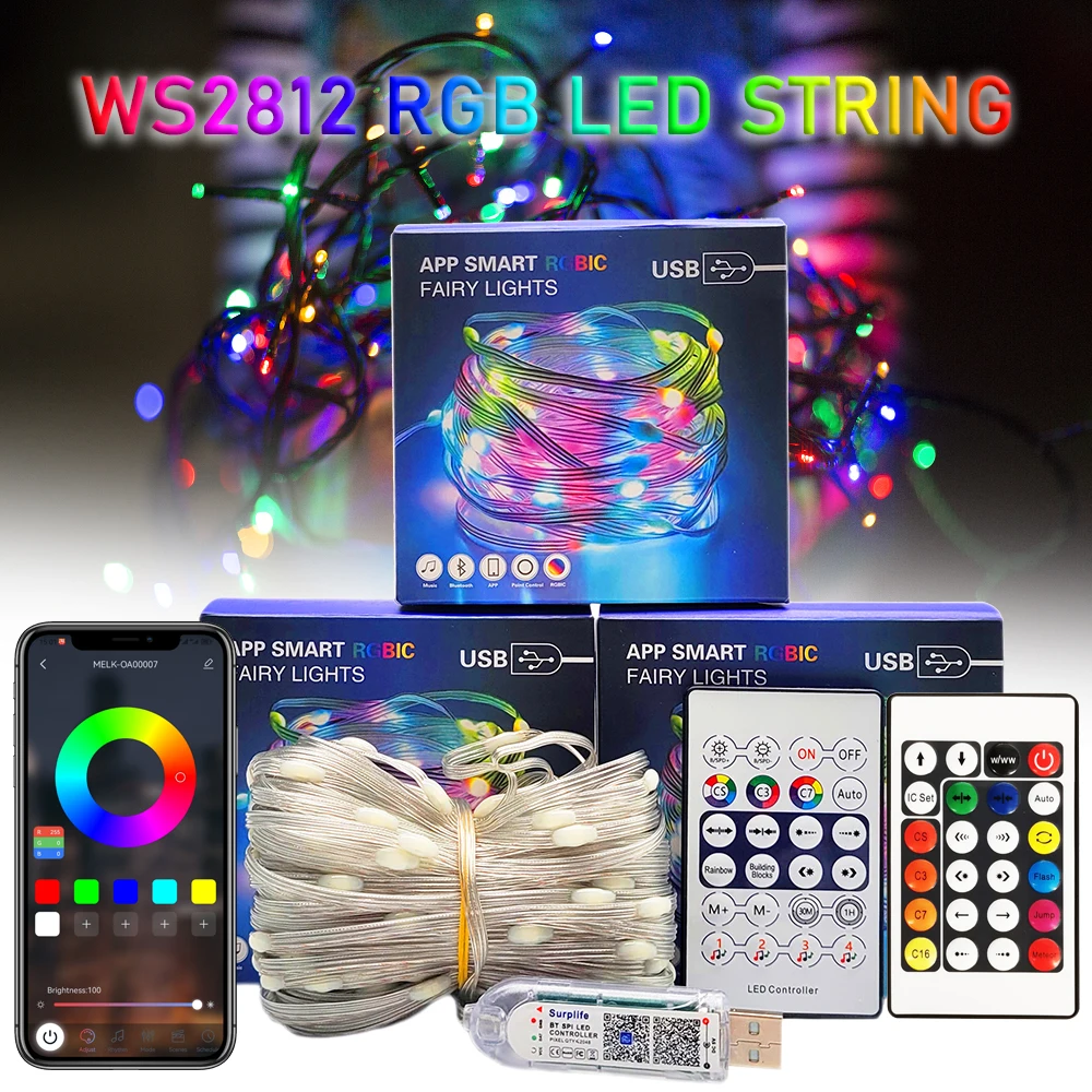 

USB DC5V WS2812B LED String Dream Full Color Addressable Individually RGB Strip Light Waterproof IP68 Christmas Party Decoration