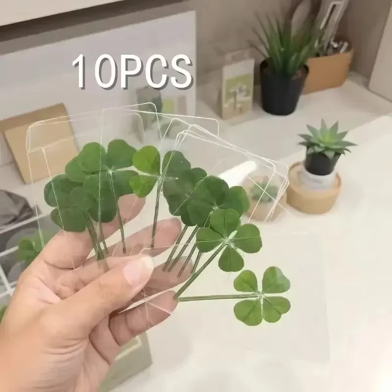New 1pc Lucky four leaf Clover Postcards Natural Grass Transparent Wishing Cards Wish Healing Fresh Simple Wind Transparent Gif