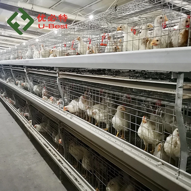 Battery Broiler Raising Cage Poultry Farm Equipment for Broilers and Baby Chicks