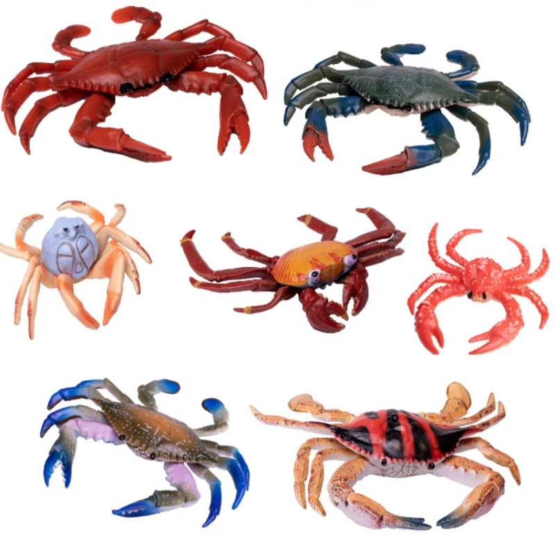 Simulation Marine Animal Model Durable Animal Cognition Toy Realistic Aquarium Miniature Crab Cognition Practical