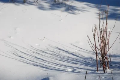 โช้คอัพแบบน้ำมัน 4 ชิ้น/ชุด สำหรับรถ 1/16 1/12 WPL MN Henglong C14 C24 MN D90 D91 รถกระบะ 4x4 รถครอว์เลอร์ อัพเกรด