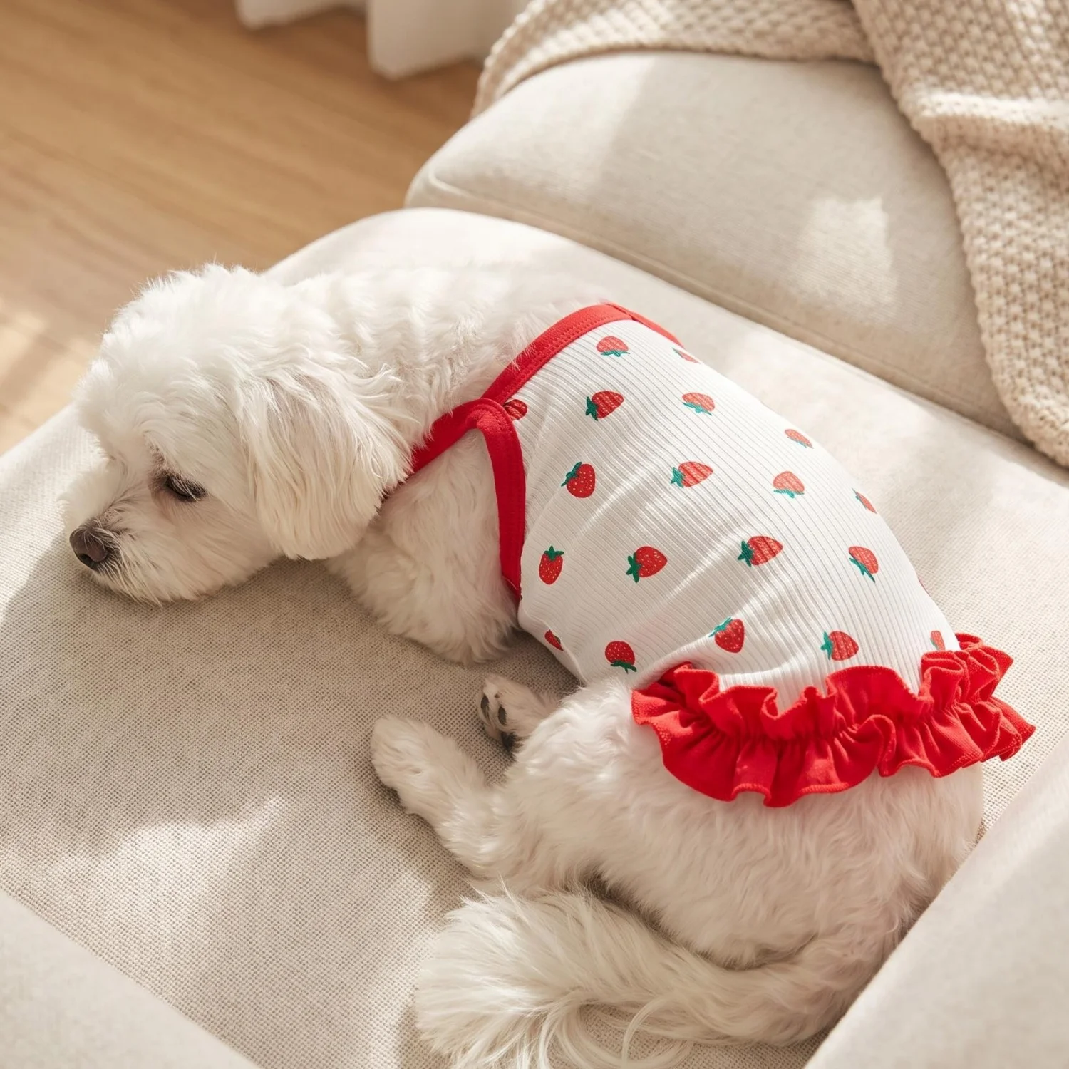 Niedliches Erdbeer-Print Haustierkleid, atmungsaktiver Sommer-Hundelatzkleid mit rotem Rüschenbesatz, weiche, elastische Kleidung für kleine Hunde und Katzen