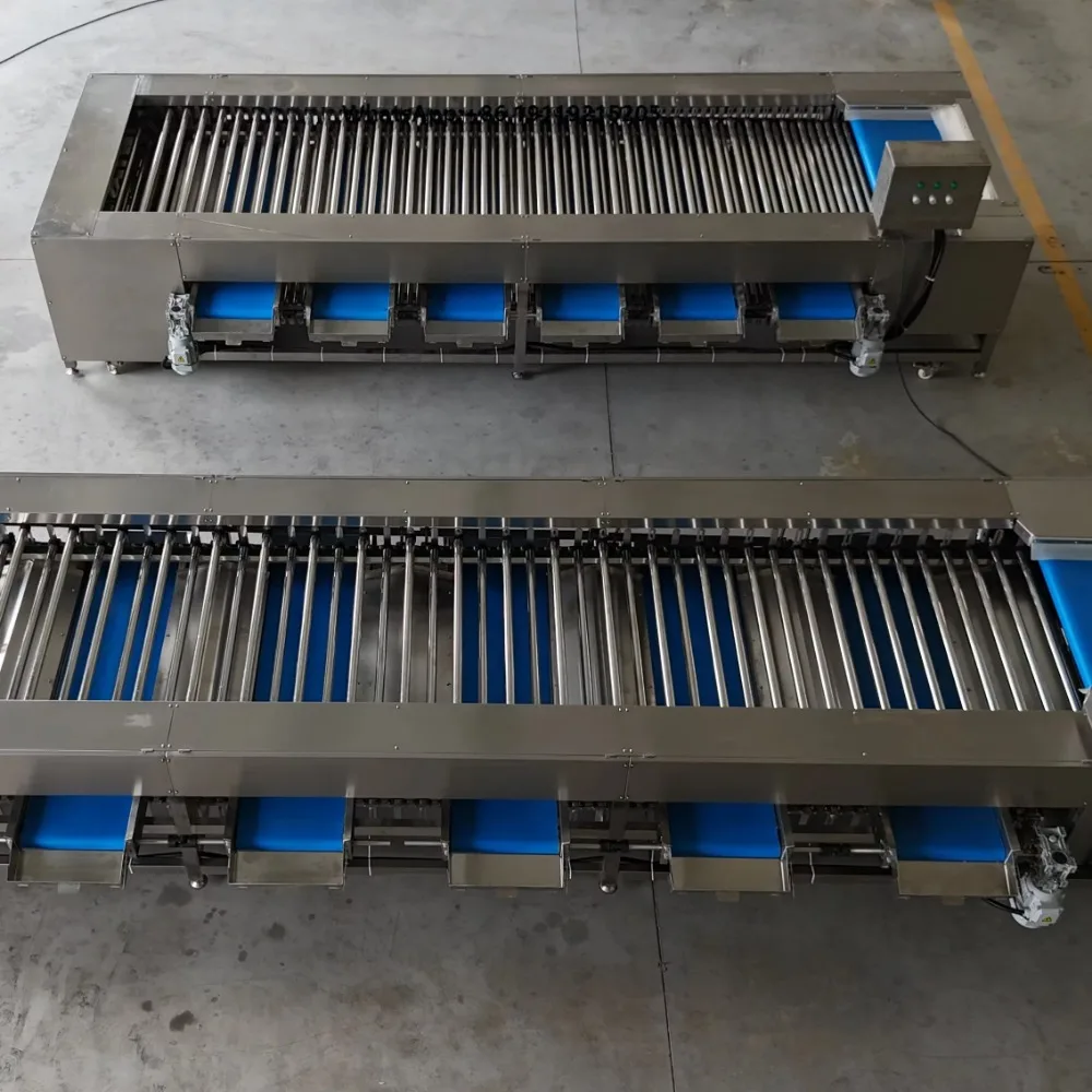 Commercial Automatic Eco-Friendly Fruit Vegetable Sorting Grading Machine Size Roller for Potato Onion Tomato Lychee Kiwi Apple