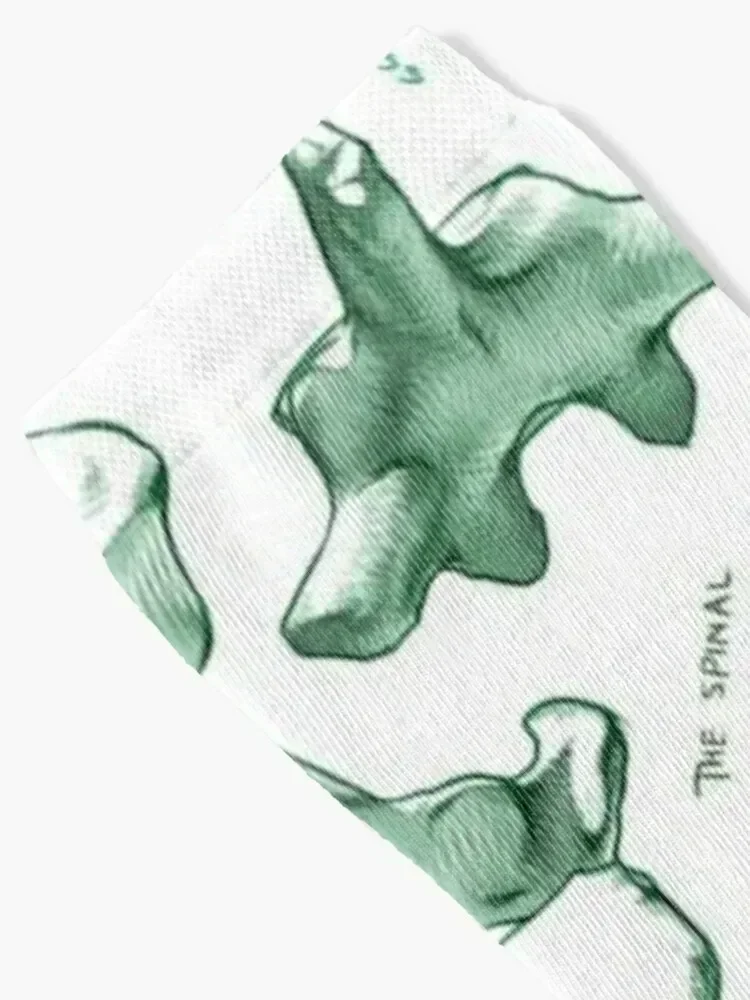 جوارب Spine Socks غير قابلة للانزلاق لرياضات التنس والترفيه الفاخرة للرجال والنساء