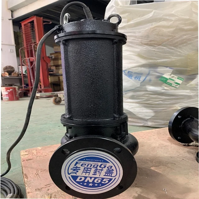 50m3/h Sewage Water Pump