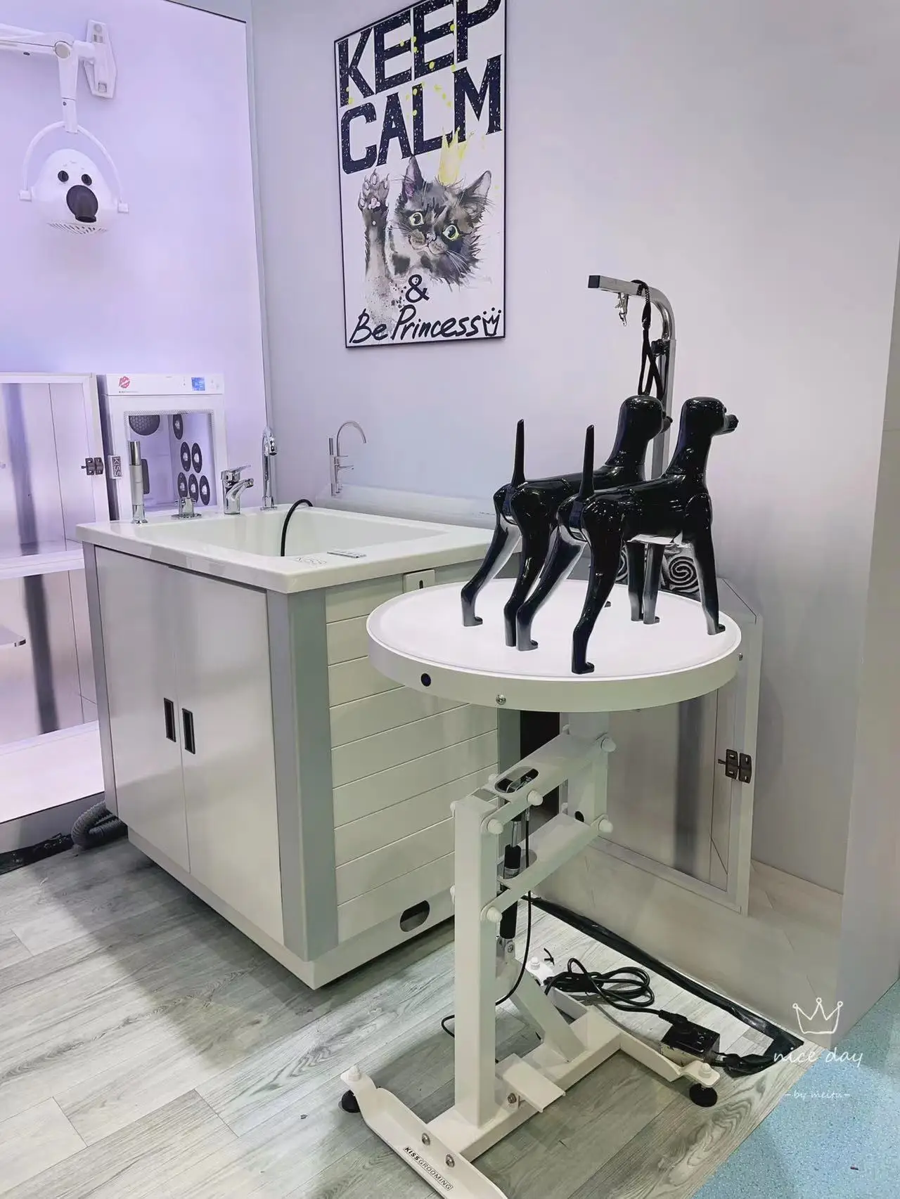 New Design Color Temperature/Brightness Regulating Adjustment LED Air Lifting Pet Salon Grooming Table