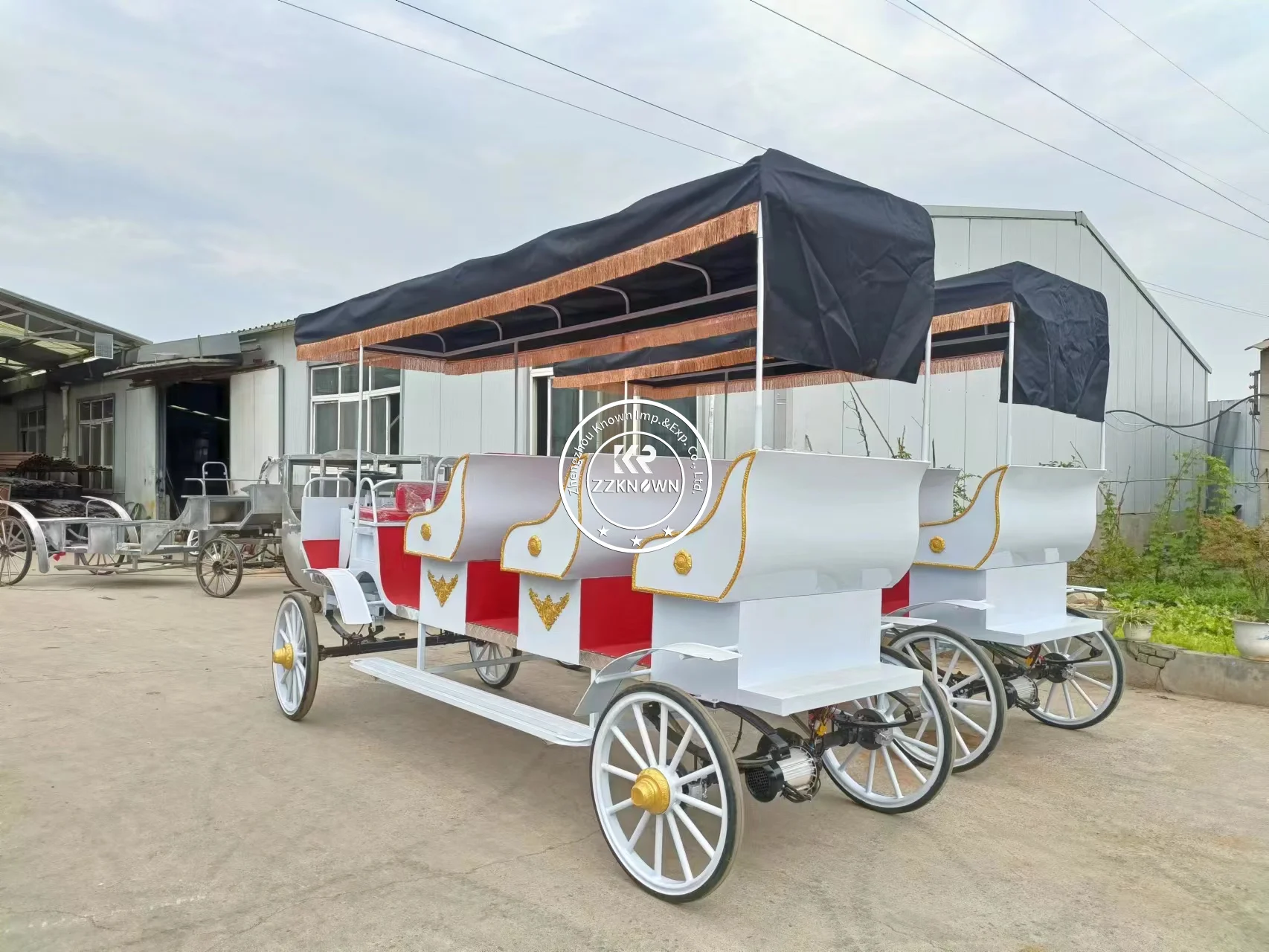 9-seater Electric Special Transport Vehicle Noble Electric Tourist Carriage for sale Park Sightseeing Carriage