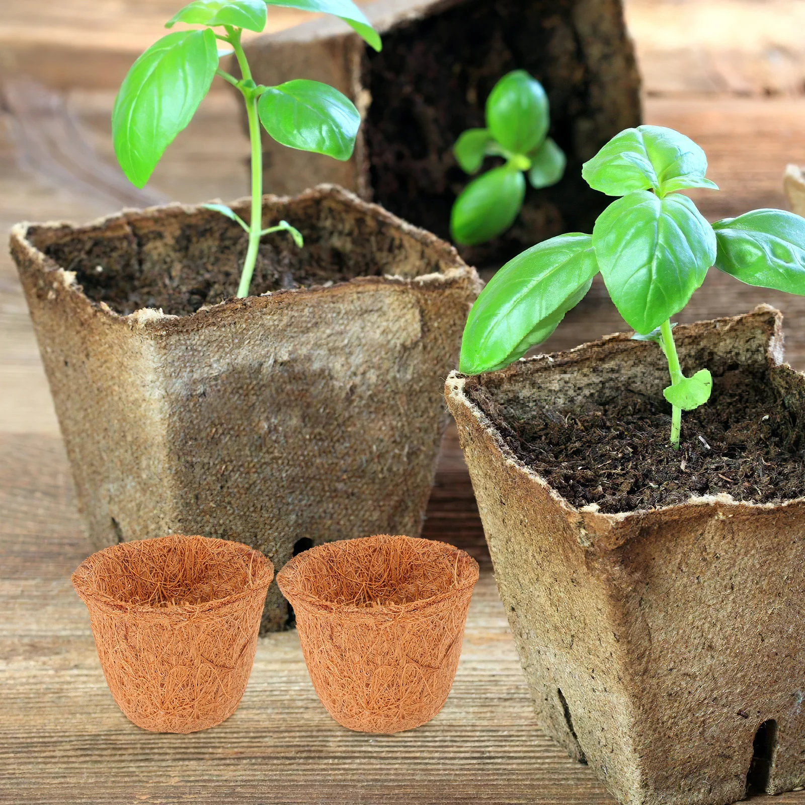 

12Pcs Coconut Coir Liner Natural Succulent Planter Mini Flower Basket Garden Plant Pot Growing Container Flower Pot
