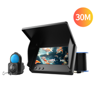 1080P HD 4.3\