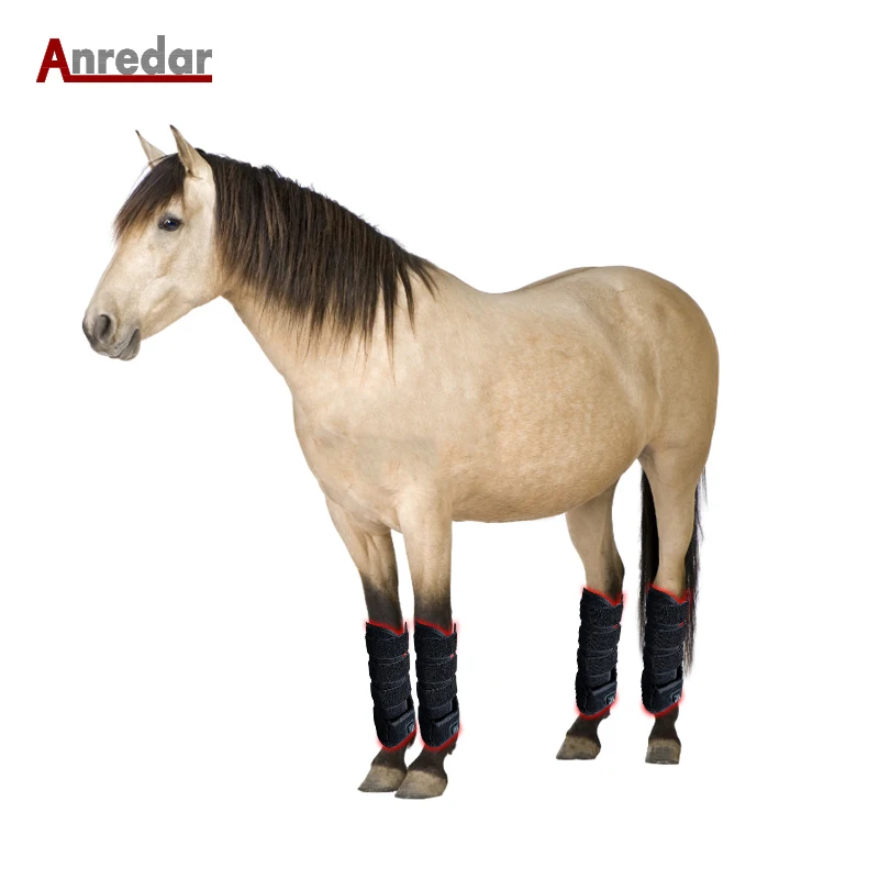 

Physiotherapy Equine Red Light Therapy Battery Veterinary Horses Boot Therapi Photonic Light Therapy for Horses Leg Joint