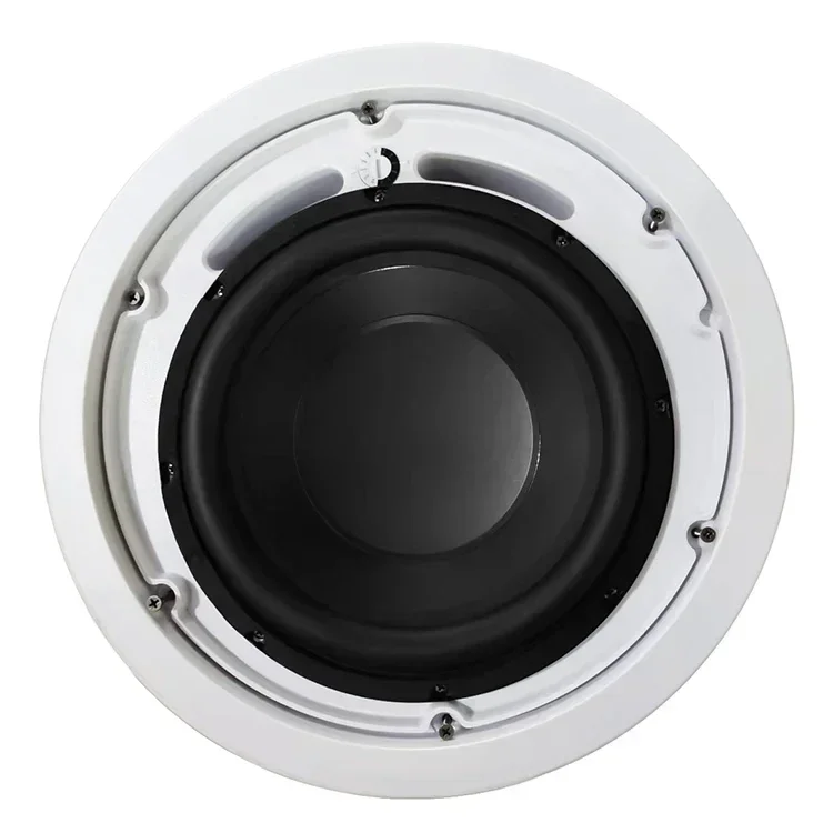 Thinuna MS-10SUB-L II PA System Audio Subwoofer 10 Inch Passive 240 Watt Bass Fixed Resistance Ceiling Sub Woofer Speaker