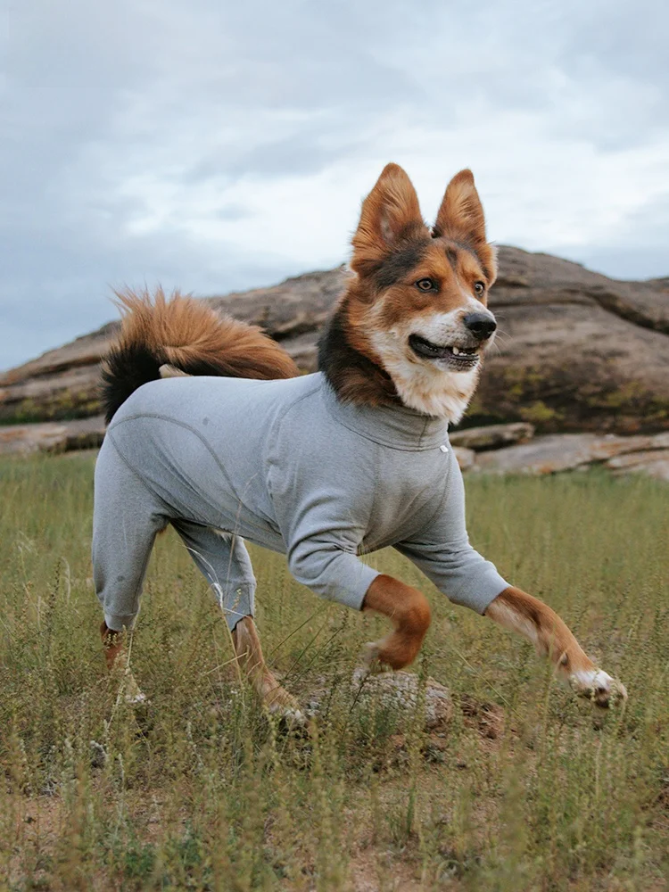 blackdoggy-graphene-warm-core-pet-sleepwear-four-legged-thermal-protective-clothing-dog-clothes-pet-pyjamas-heating-temperatu