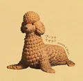 Poodle seal