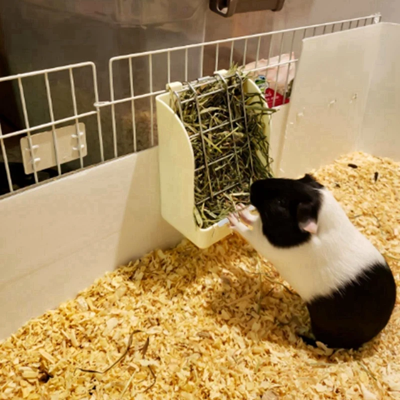 إطار العشب رف تغذية القش للخنازير غينيا ، شينشيلا ، حامل الوجه الثابت ، سلة العشب ، 4X