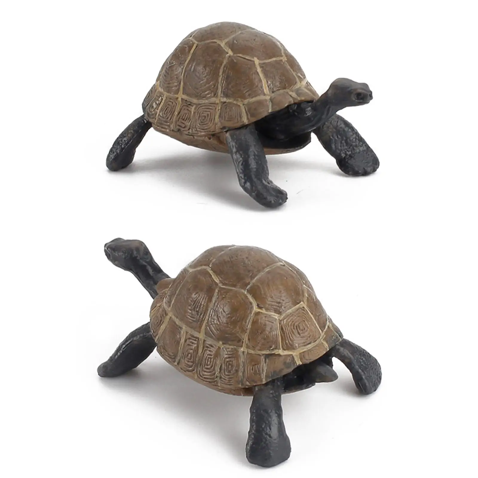

Simulation Turtle Toys Model Action Figures Tortoise Statue Turtle Figurine for Shelf Living Room Home Decoration Collectible