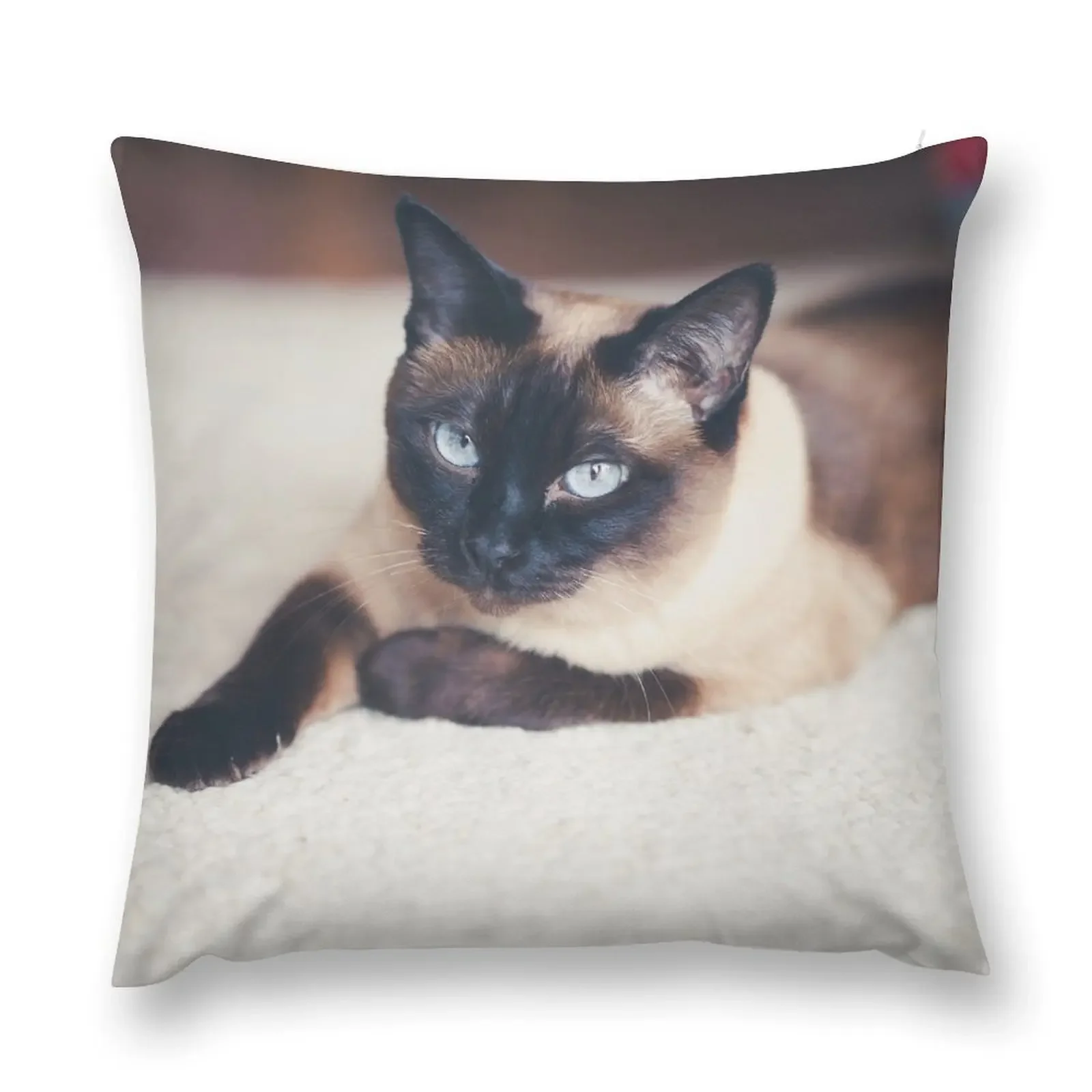 

sleeping siamese cat Throw Pillow Sofas Covers Pillowcases For Pillows Sofa Covers pillow