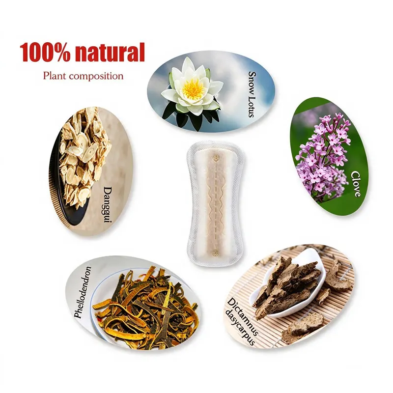 10/20Pcs Female Gynecological Sanitary Pads Vaginal infection Silver ion care Pads relief external Genital itching Sanitary Pads