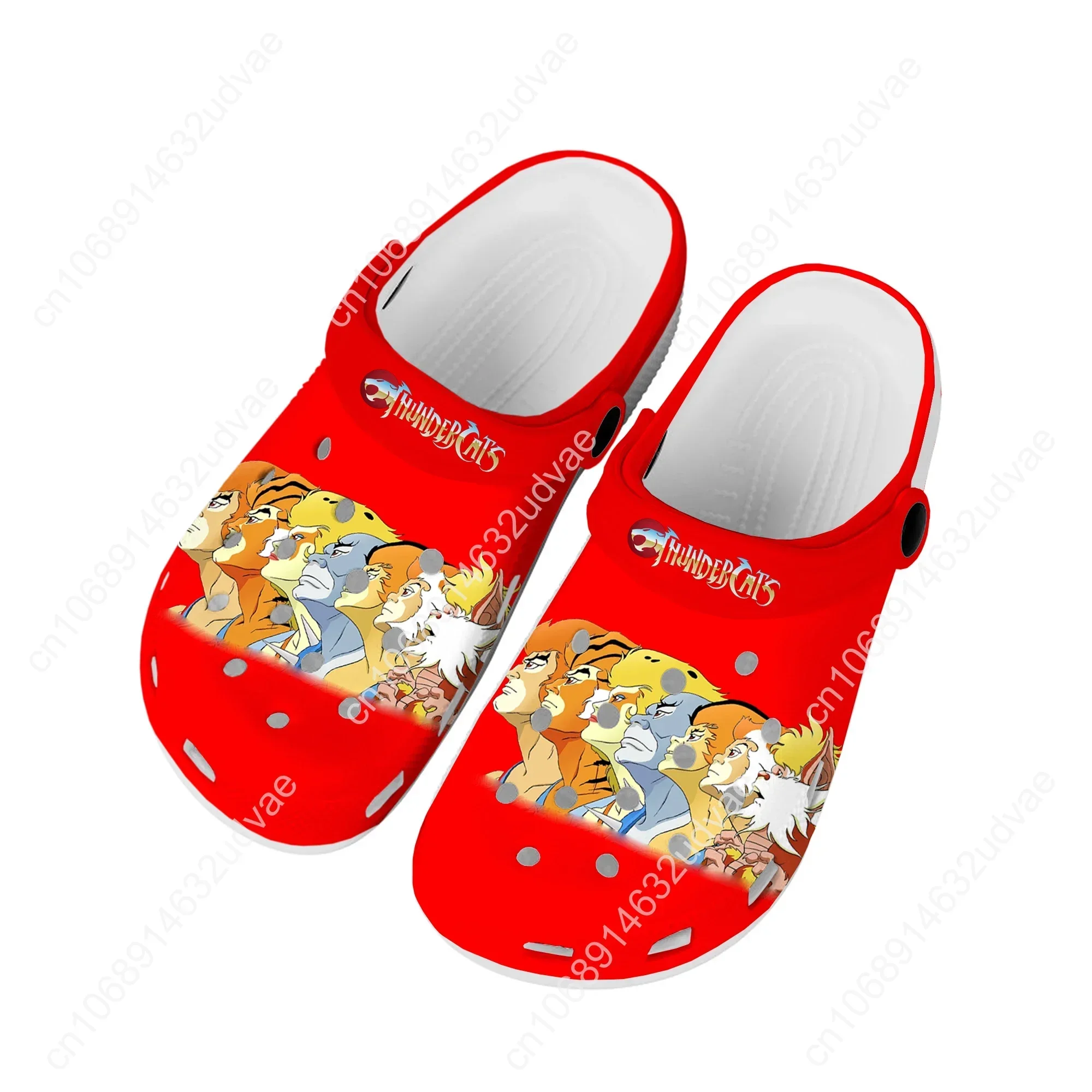 Desenhos animados Thundercats Casa Tamancos, Sapatos De Água Personalizados, Homens Mulheres Adolescente, Tamancos De Jardim, Chinelo De Buraco De Praia, Chinelos Casuais