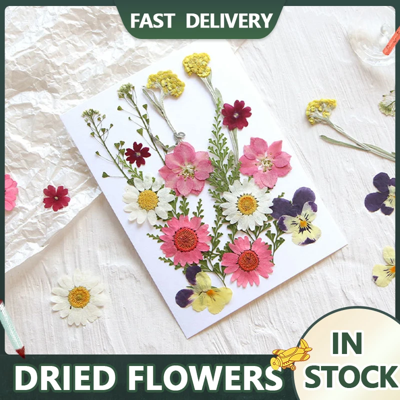1 scatola naturale vero fiore secco piante essiccate artigianato fai da te goffratura materiali accessori per aromaterapia che fanno la decorazione domestica calda