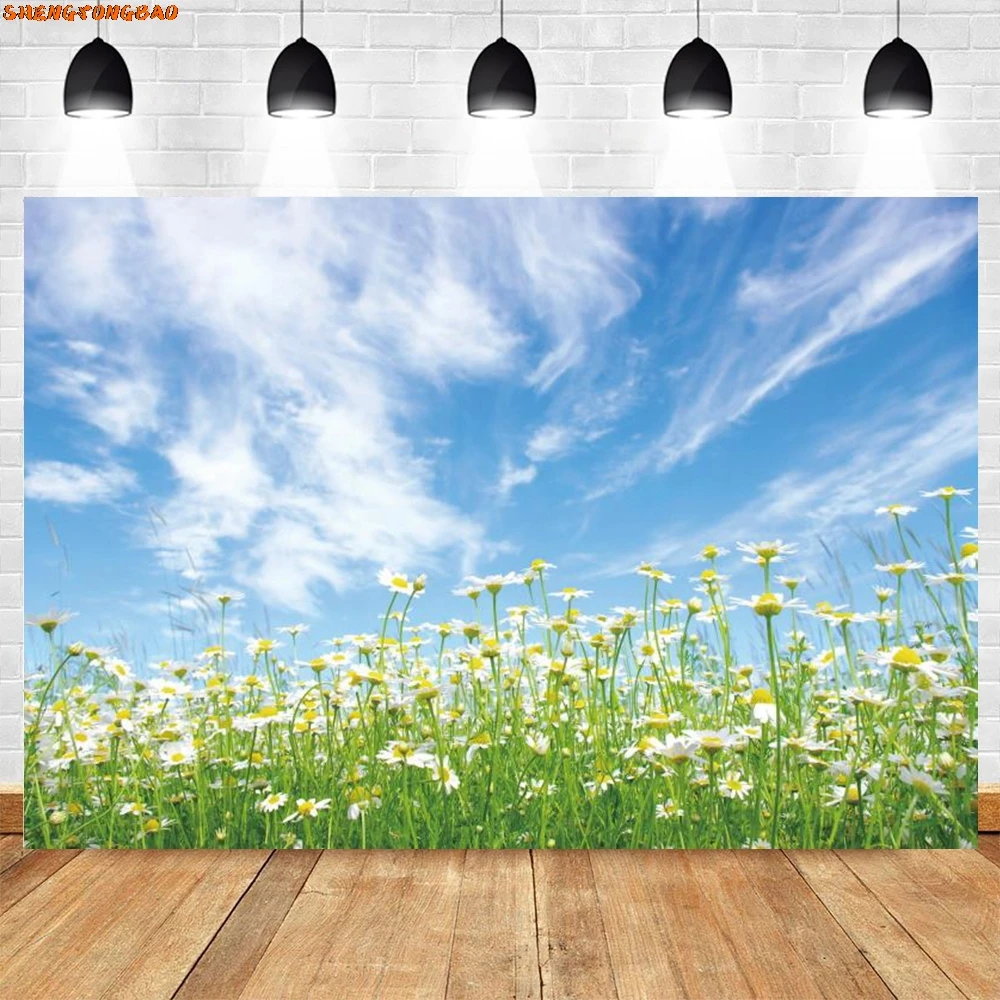 Spring Natural Landscape Backdrop Photography Blue Sky White Cloud Sunshine Green Grass Flowers Scene Background Photozone Props