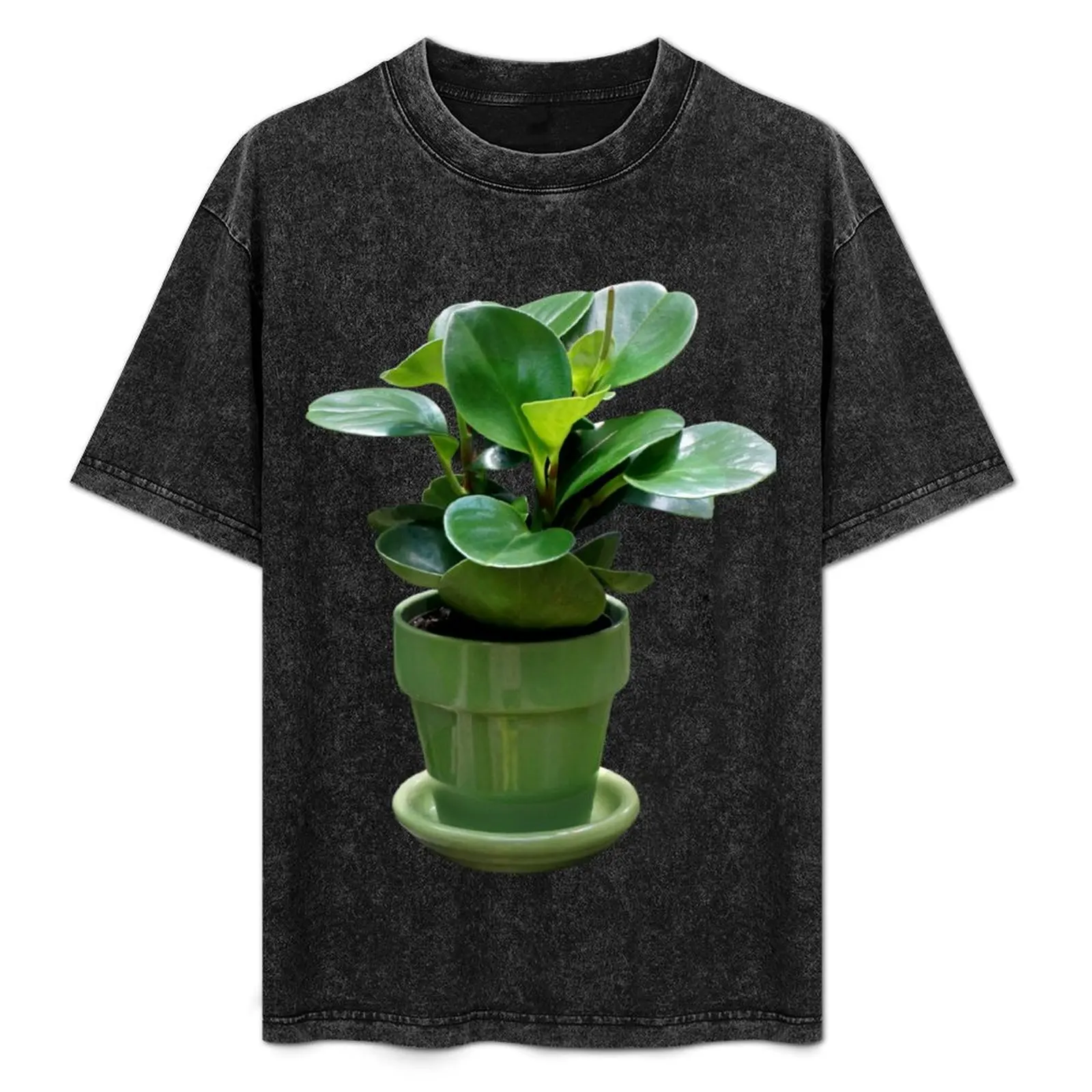 

Natural Peperomia Indoor House Plant T-Shirt Soft Casual Short Sleeve Cotton Tee