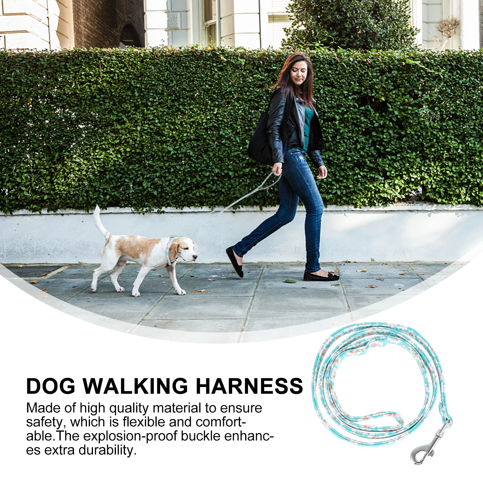 

2 Pcs Pet Collar Traction Rope Dog Walking Leash Puppy Double Layer Training Adjustable Cloth Pull Bridegroom