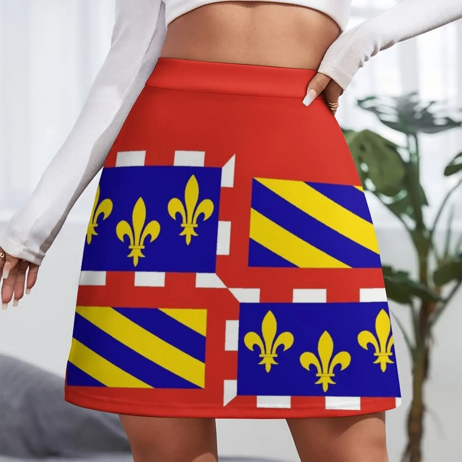 Flag of Bourgogne France Mini Skirt women clothes modest skirts for women