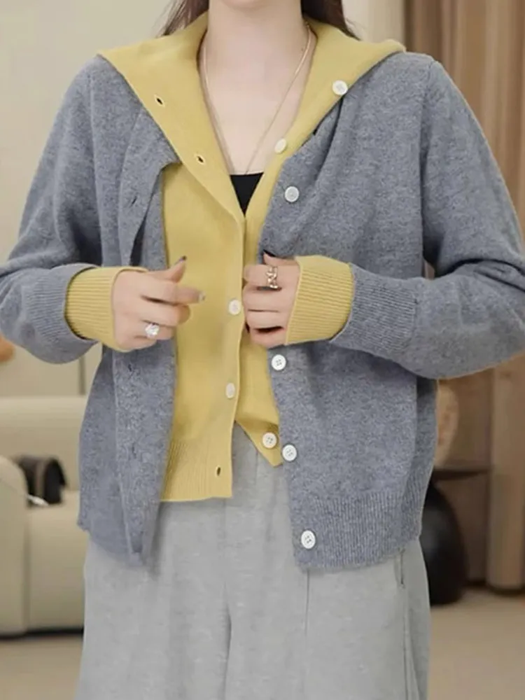 

Модный вязаный длинный кардиган с капюшоном Sli, повседневный дизайн, верхняя одежда Ele, новая модель, вид из двух предметов