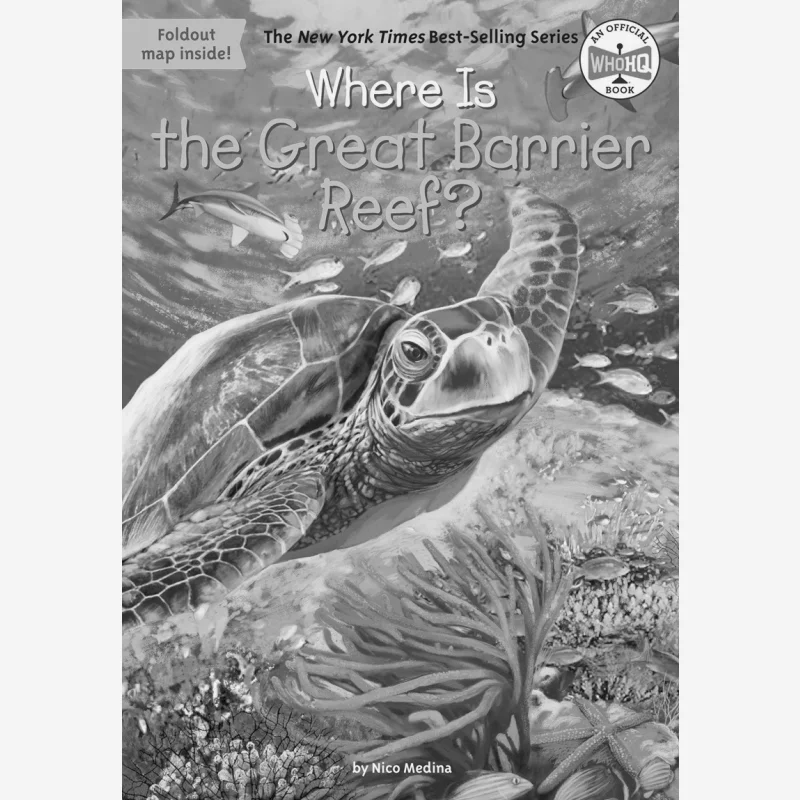 

Where Is The Great Barrier Reef Nico Medina Penguin USA 9780448486994 Book
